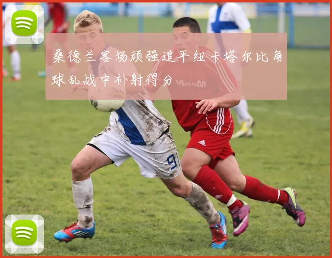 桑德兰客场顽强追平纽卡塔尔比角球乱战中补射得分