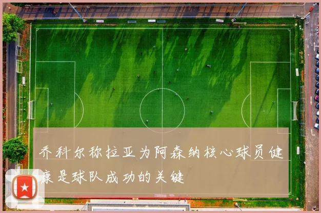 乔科尔称拉亚为阿森纳核心球员健康是球队成功的关键