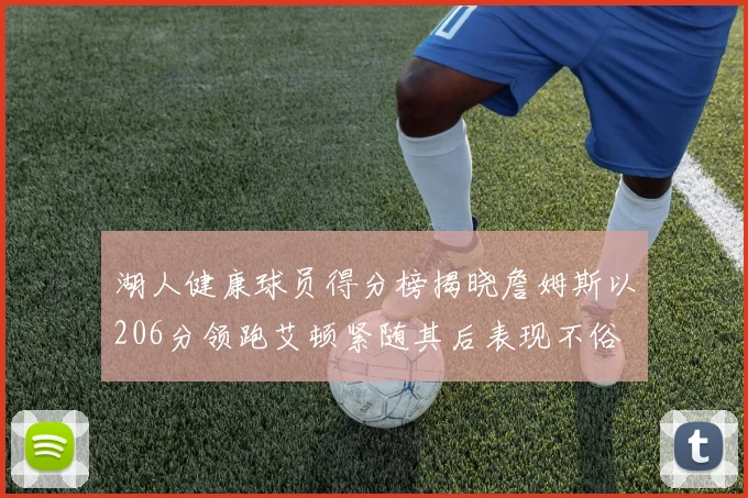 湖人健康球员得分榜揭晓詹姆斯以206分领跑艾顿紧随其后表现不俗
